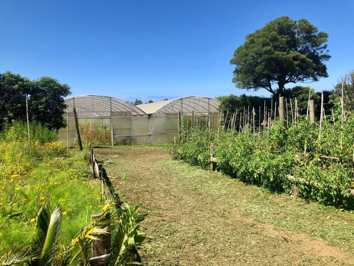Quinta Dos Sabores Farm Houses 大里贝拉 外观 照片